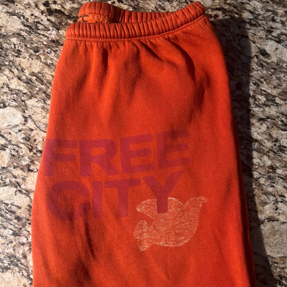 FREECITY Rare Circa ‘99 OG LET’S GO Oldschool Polyblend Fluff Sweatpants